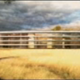 Illustration for article titled Steve Jobs Wants To a Build a Spaceship-Like Campus in Cupertino